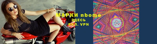 дживик Бородино