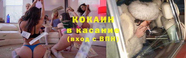 дживик Бородино
