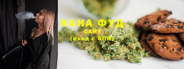 дживик Бородино