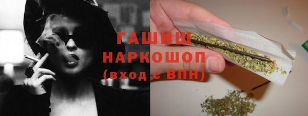 дживик Бородино