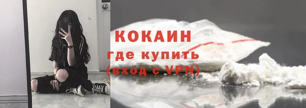 дживик Бородино