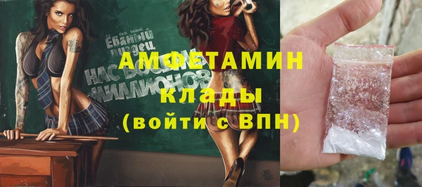 дживик Бородино