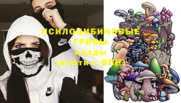 МДМА Богданович
