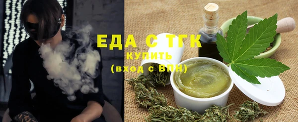 дживик Бородино