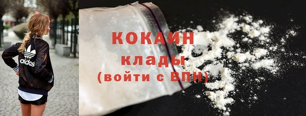 дживик Бородино