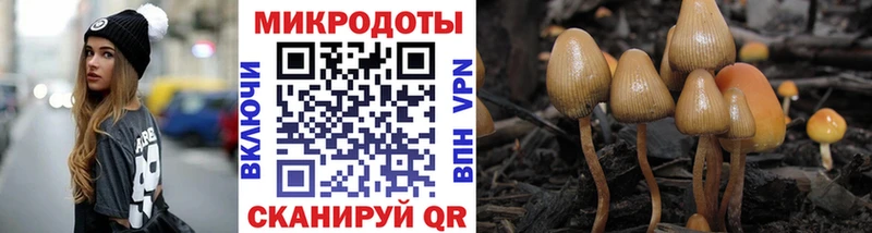 Галлюциногенные грибы мицелий  блэк спрут   Пятигорск  где купить наркотик 